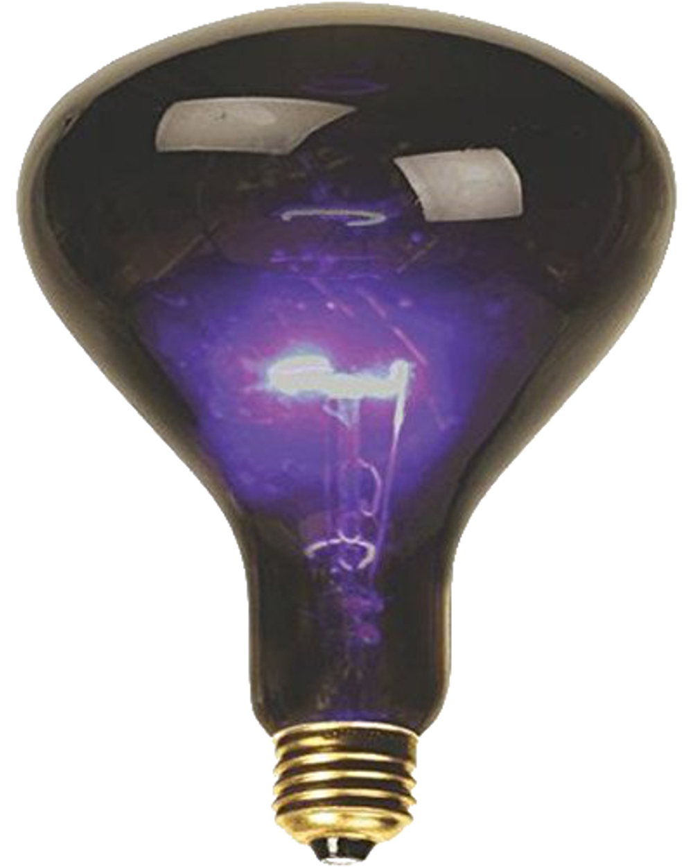 100 Watt Blacklight Mushroom Black Light Bulb Rave Party Decoration regarding measurements 1000 X 1250