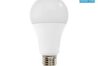 100 Watt Equivalent 5000k A21 Dimmable Led Light Bulb Cool White regarding proportions 1000 X 1000