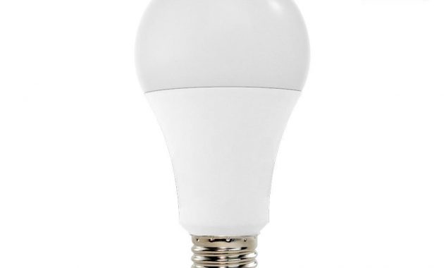 100 Watt Equivalent 5000k A21 Dimmable Led Light Bulb Cool White regarding proportions 1000 X 1000