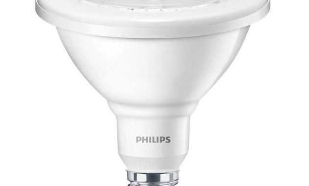 100 Watt Equivalent Par38 Dimmable Led Flood Daylight 5000k Led within proportions 1000 X 1000