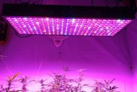 1000 Watt Led Grow Light For Property Housestclair within proportions 1140 X 713