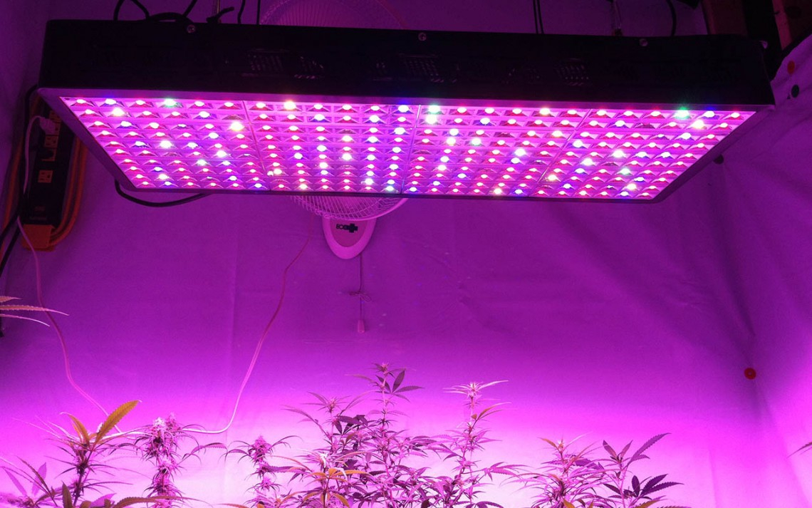 1000 Watt Led Grow Light For Property Housestclair within proportions 1140 X 713