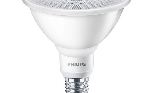 12 Watt Philips Par38 5000k Outdoor Rated Led Flood Light Bulb with regard to dimensions 1126 X 1093