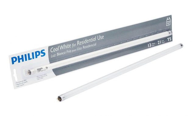 13 Watt 21 In Linear T5 Fluorescent Light Bulb Cool White 4100k with regard to proportions 1000 X 1000