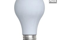 20 Watt Incandescent Light Bulb Lumens Light Bulb pertaining to size 1000 X 1000