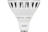 2500 Lumen 3000k Dimmable Led Br40 Feit Electric throughout dimensions 1000 X 1000