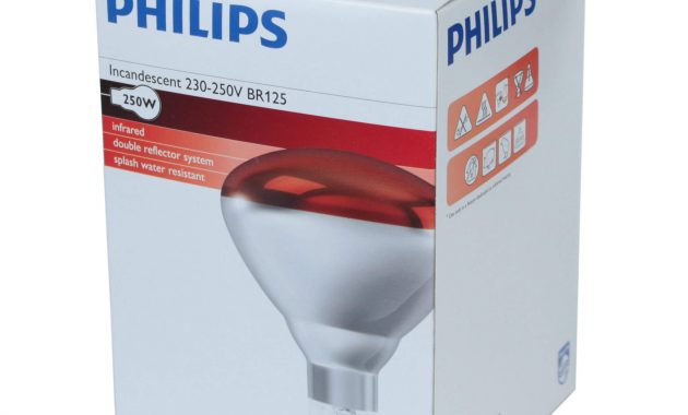 250w Near Infrared Heat Lamp Bulb 240v International Voltage intended for sizing 2048 X 2048