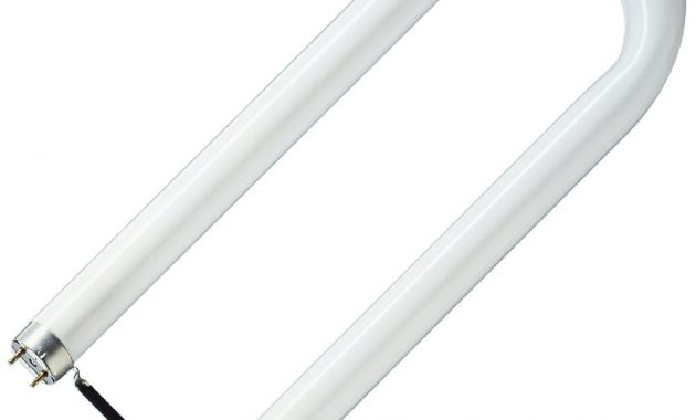 36w U Tube T8 525mm Fluorescent Col 835 White regarding dimensions 1000 X 1000