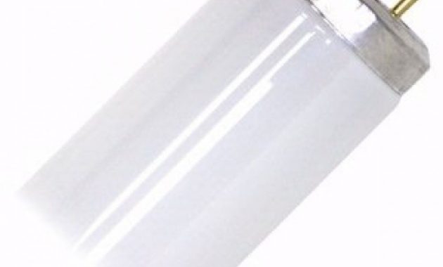 40 Watt T12 38mm Diameter Cool White Fluorescent Tube within size 1000 X 1000