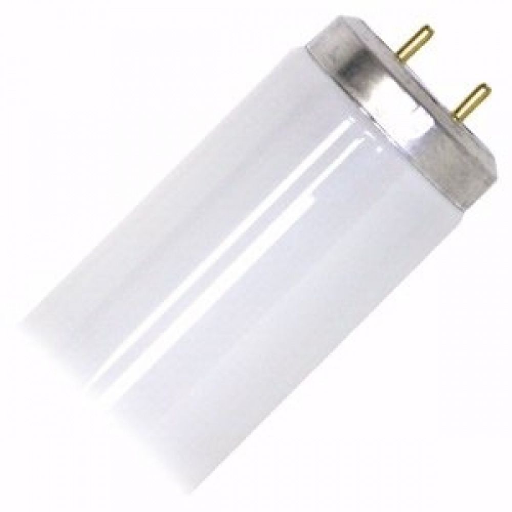 40 Watt T12 38mm Diameter Cool White Fluorescent Tube within size 1000 X 1000
