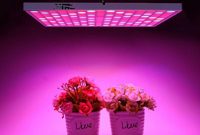 45w Led Grow Light Bulbs Full Spectrum Plant Growing Lamps For in proportions 1000 X 1000