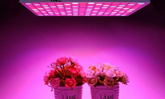 45w Led Grow Light Bulbs Full Spectrum Plant Growing Lamps For in proportions 1000 X 1000