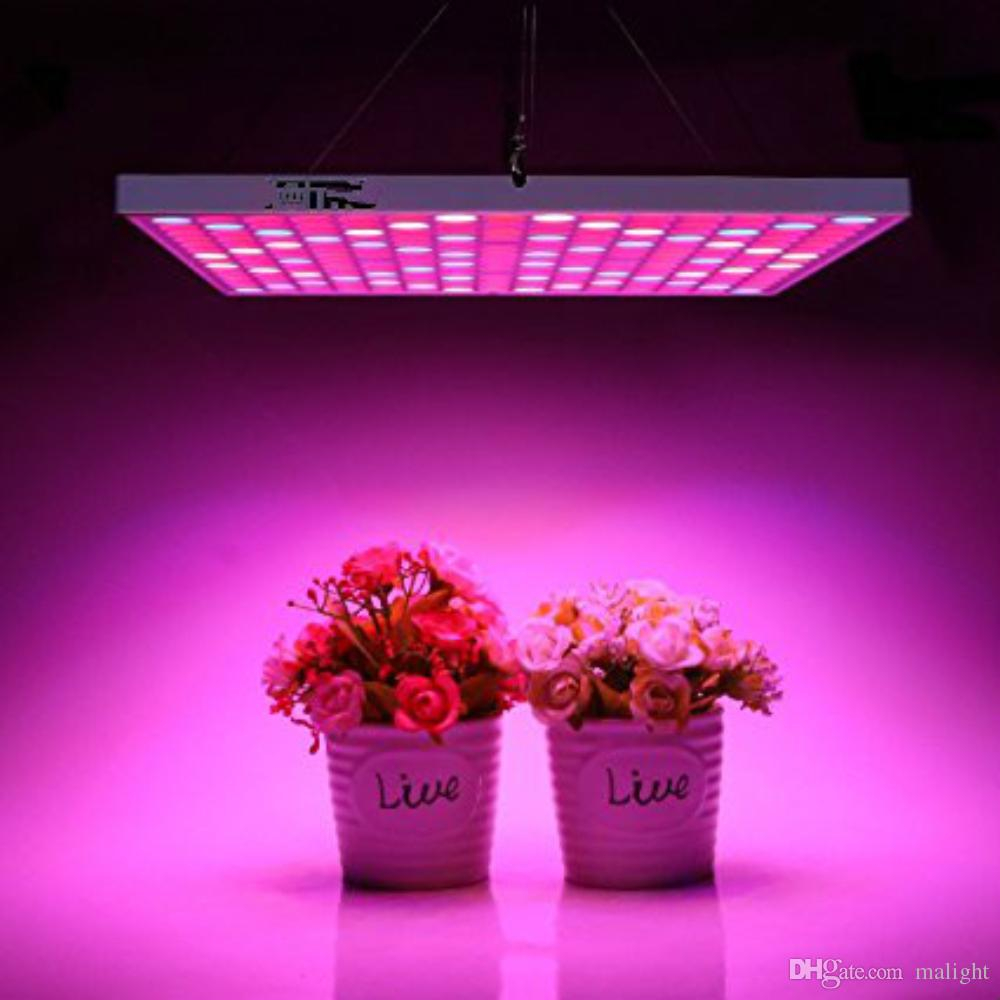 45w Led Grow Light Bulbs Full Spectrum Plant Growing Lamps For in proportions 1000 X 1000