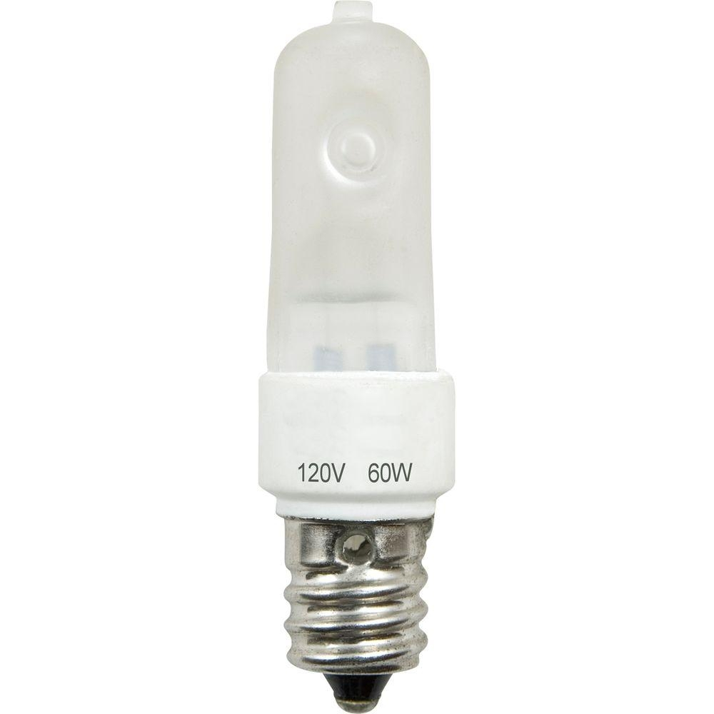 60 Watt Type T Light Bulb Light Bulb with size 1000 X 1000