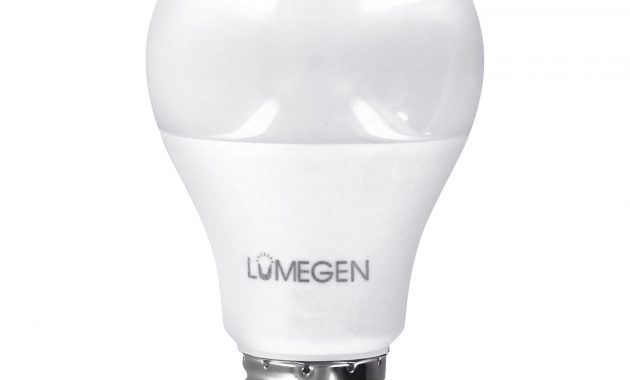 A19 Led Bulb 5 Watt 40w Equiv 550 Lumens Lumegen for dimensions 1800 X 1800