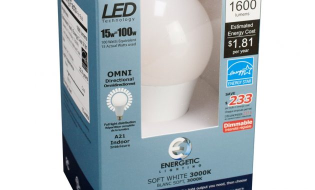 A21 Led Bulb 15 Watt Dimmable 100w Equiv 1600 Lumens Energetic regarding size 1200 X 1200