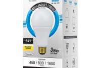 A21 Led Bulb 17 Watt Dimmable 100w Equiv 1600 Lumens Euri in dimensions 1200 X 1200