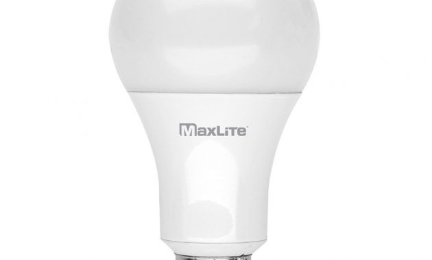 A21 Omni Led Bulb 15w Dimmable 100w Equiv 1600 Lumens Maxlite with measurements 1200 X 1200