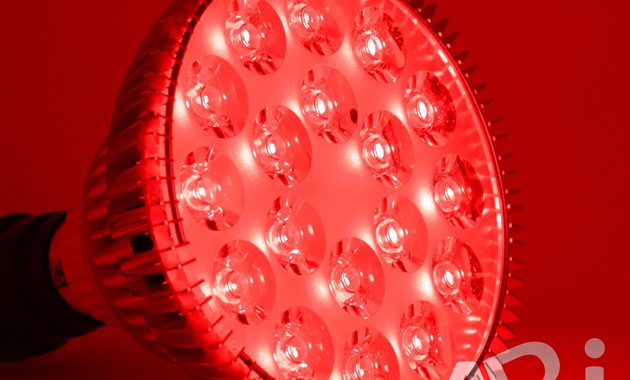 Abi 25w Deep Red 660nm Led Light Bulb Red Light Therapy inside proportions 1500 X 1500