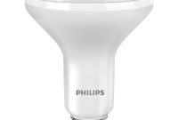 Amusing Types Of Flood Light Bulbs 77 For Best Indoor Led Flood regarding measurements 1000 X 1000