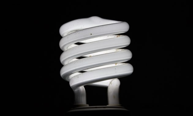 Are Coil Light Bulbs Dangerous Light Bulb intended for size 4973 X 3367