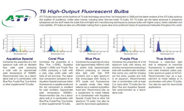 Ati True Actinic 03 T5 Bulbs Aquacave intended for measurements 1010 X 1010