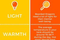 Bearded Dragon Lighting Facts More Info On Beardeddragontank within measurements 800 X 2000