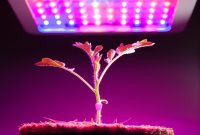 Best Led Grow Lights Reviews For 2018 Experts In Growing inside sizing 1678 X 1119