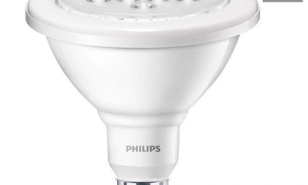 Best Led Light Bulbs For Outdoors Outdoor Designs regarding dimensions 1000 X 1000