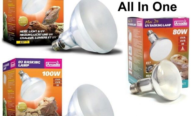 Best Uva Uvb Light Bulbs Light Bulb for dimensions 1148 X 1148