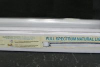 Bonsai Tree Supplies And Bonsai Trees Spectralight Full Spectrum pertaining to sizing 1470 X 556