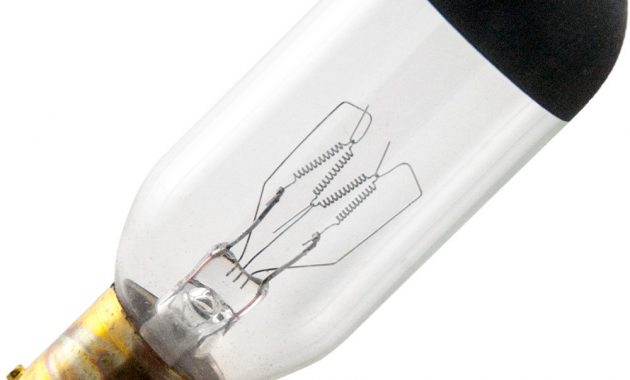 Cds Bulb 100w 120v T8 Ba15s Base Topbulb throughout proportions 1000 X 1000