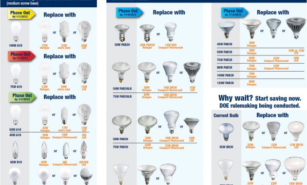 Cfl Light Bulbs Sizes Light Bulb regarding measurements 1131 X 744