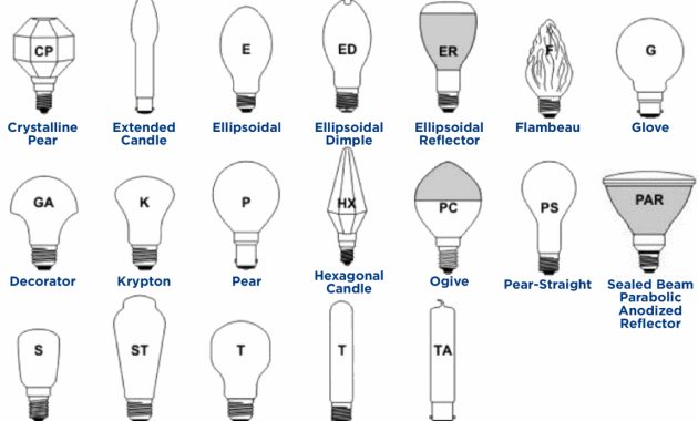 Choosing The Right Lightbulb Lights For Learning pertaining to size 1149 X 1200