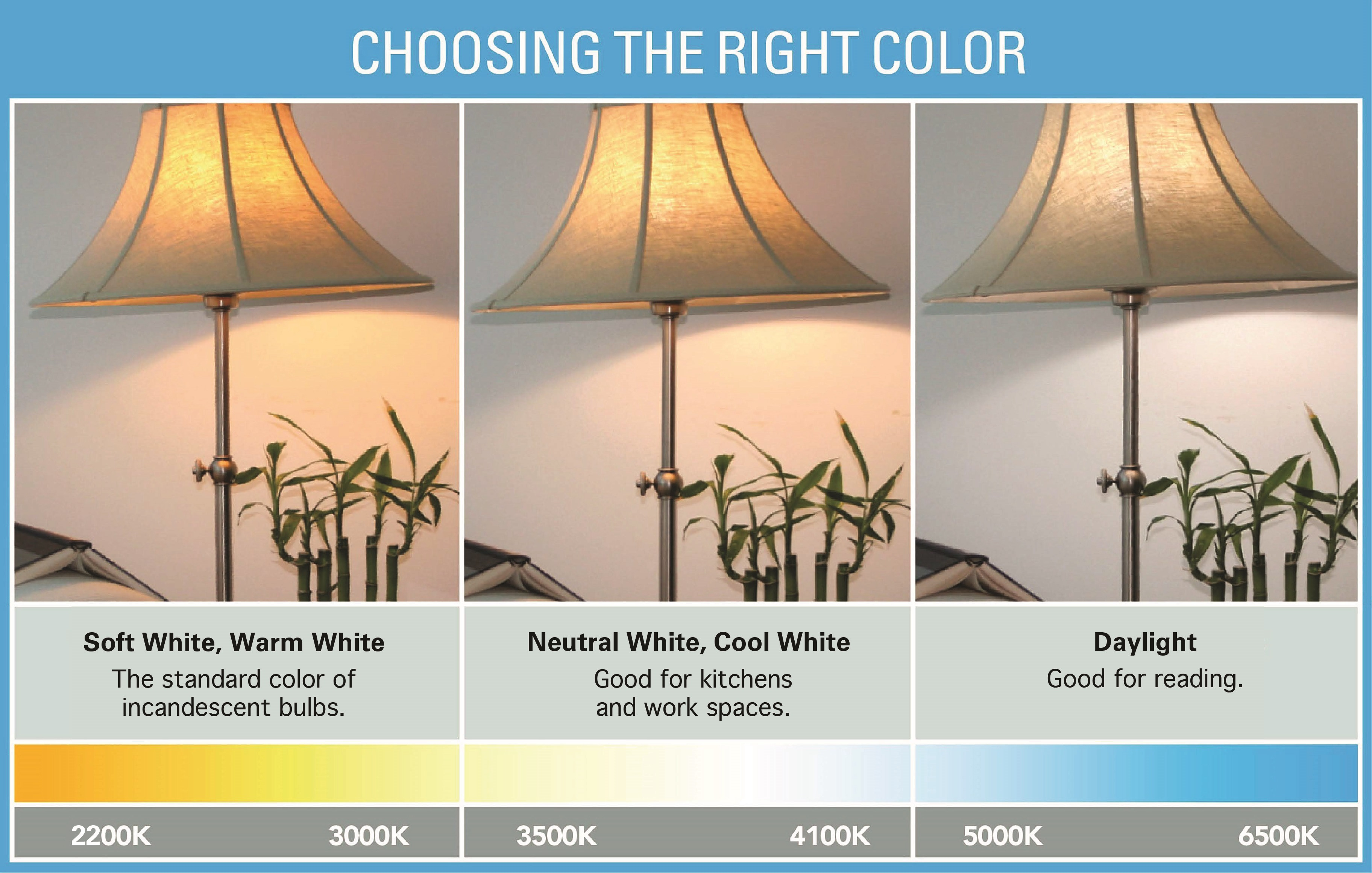 light bulb color for living room