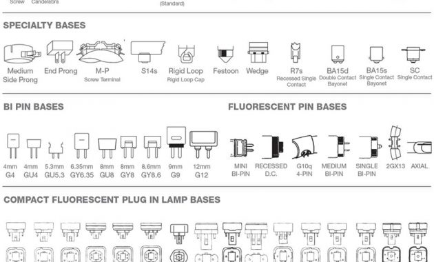 Compact Fluorescent Light Bulbs Base Types Httpjohncow regarding size 930 X 934
