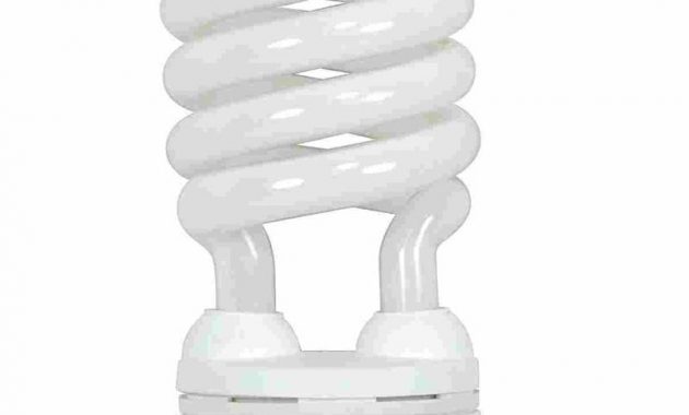 Curly Light Bulbs Broken Light Bulb with dimensions 800 X 1204