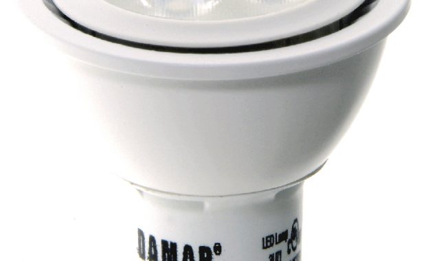 Damar Worldwide A Leader In Quality Light Bulbs Incandescent Bulbs for sizing 888 X 1000