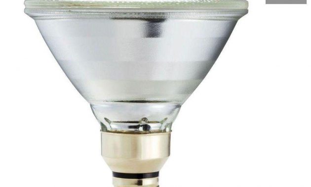 Different Types Of Indoor Flood Light Bulbs Httpjohncow inside measurements 1000 X 1000