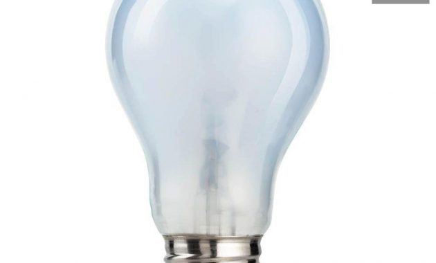 Ecosmart 100 Watt Equivalent A19 Natural Eco Incandescent Light Bulb regarding proportions 1000 X 1000
