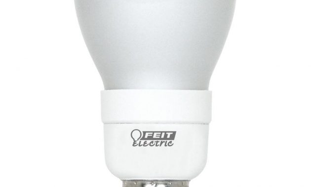 Ecosmart 50 Watt Equivalent R20 Dimmable Cfl Light Bulb Soft White with regard to measurements 1000 X 1000