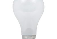 Ecosmart 60 Watt Equivalent A19 Dimmable Eco Incandescent Light Bulb with dimensions 1000 X 1000