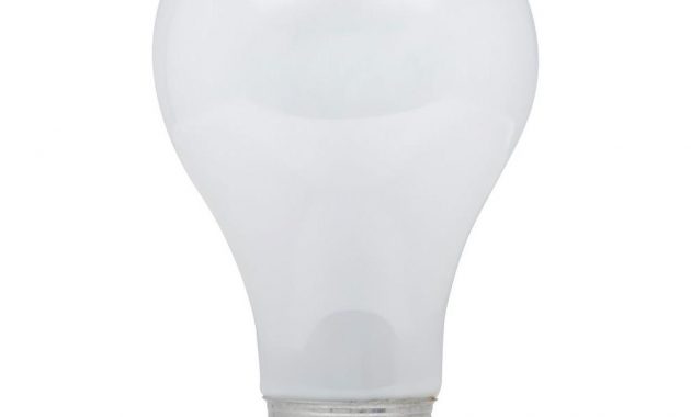 Ecosmart 60 Watt Equivalent A19 Dimmable Eco Incandescent Light Bulb with dimensions 1000 X 1000