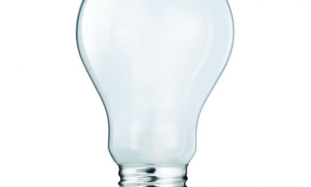 Ecosmart 60 Watt Equivalent A19 Halogen Soft White Light Bulb 4 in sizing 1000 X 1000