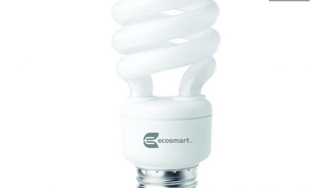 Ecosmart 60 Watt Equivalent Spiral Cfl Light Bulb Soft White 4 for proportions 1000 X 1000