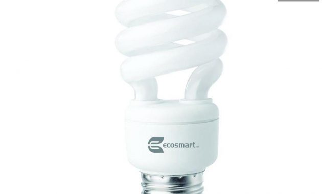Ecosmart 60 Watt Equivalent Spiral Cfl Light Bulb Soft White 4 for size 1000 X 1000