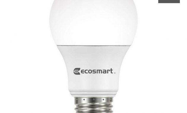 Ecosmart 60 Watt Equivalent Spiral Cfl Light Bulb Soft White 4 inside proportions 1000 X 1000