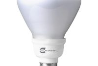 Ecosmart 65 Watt Equivalent R30 Cfl Flood Light Bulb Daylight inside dimensions 1000 X 1000