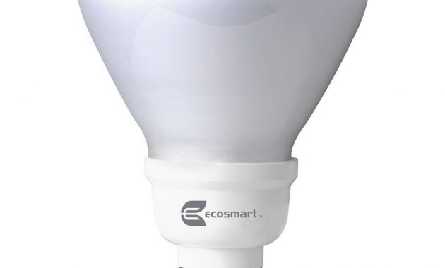 Ecosmart 65 Watt Equivalent R30 Cfl Flood Light Bulb Daylight inside dimensions 1000 X 1000