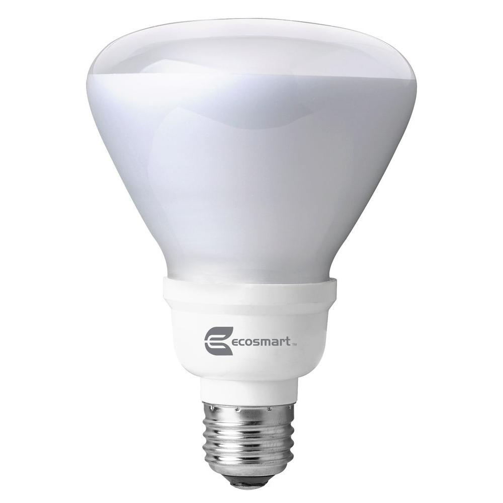 Ecosmart 65 Watt Equivalent R30 Cfl Flood Light Bulb Daylight inside dimensions 1000 X 1000